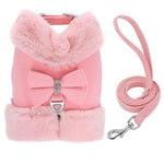 Load image into Gallery viewer, Cute Warm Winter Pet Harness Vest Set - BestShop