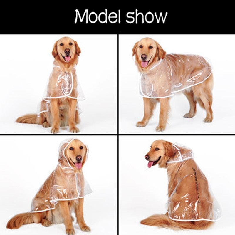 Dog Raincoat - BestShop
