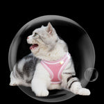 Load image into Gallery viewer, Escape Proof Cat Harness and Leash Set - BestShop