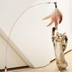 Load image into Gallery viewer, Interactive Mouse/Ball Cat Toys - BestShop
