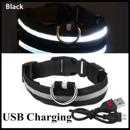 LED Glowing Dog Collar - BestShop