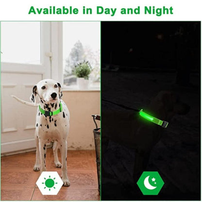 LED Glowing Dog Collar - BestShop