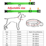 Load image into Gallery viewer, LED Glowing Dog Collar - BestShop