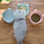 Load image into Gallery viewer, Neck Protecting High Tilted Pet Feeding Bowl - BestShop