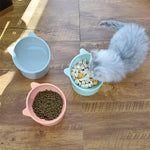 Load image into Gallery viewer, Neck Protecting High Tilted Pet Feeding Bowl - BestShop