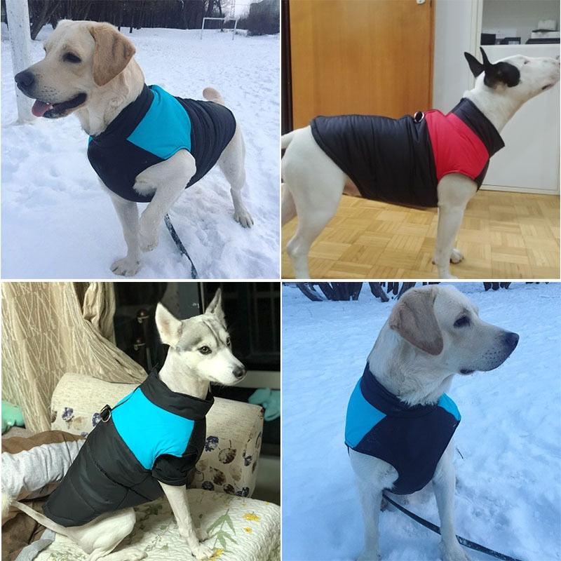 Padded Waterproof Pet Zipper Jacket For Dogs - BestShop