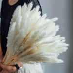 Load image into Gallery viewer, Pampas Grass Decoration - BestShop
