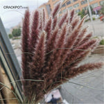 Load image into Gallery viewer, Pampas Grass Decoration - BestShop
