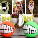 Load image into Gallery viewer, Pet Dog Puppy Ball Teeth Silicon Chew Toys - BestShop