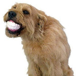 Load image into Gallery viewer, Pet Dog Puppy Ball Teeth Silicon Chew Toys - BestShop