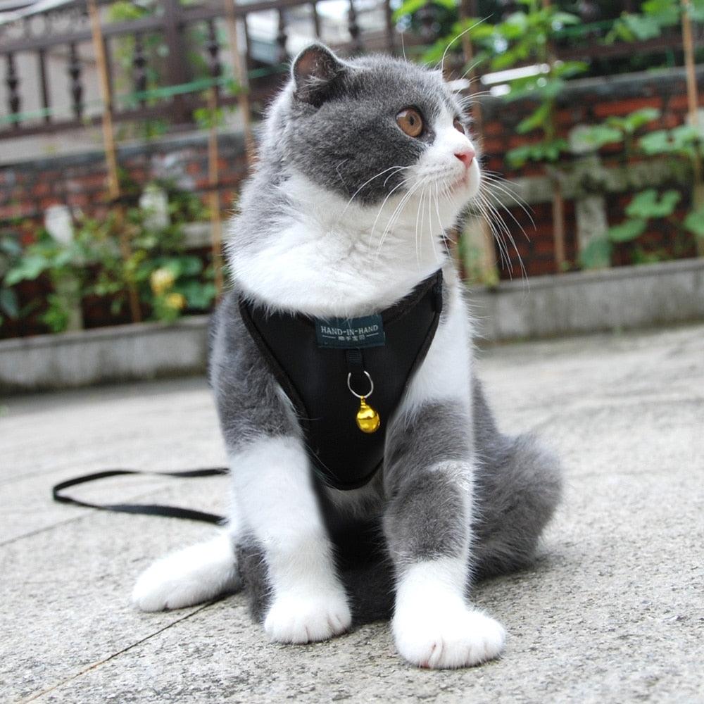 Pet Harness Vest With Bell - BestShop