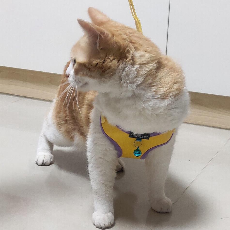 Pet Harness Vest With Bell - BestShop