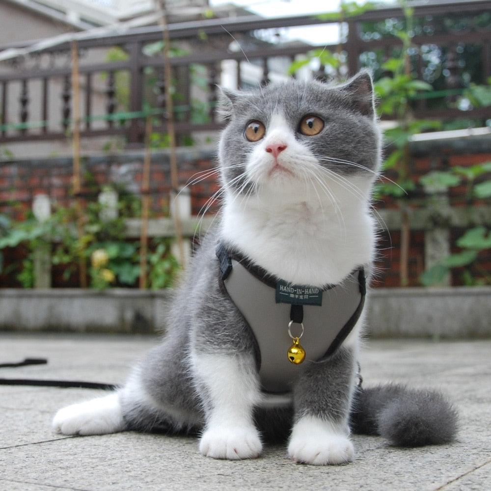 Pet Harness Vest With Bell - BestShop