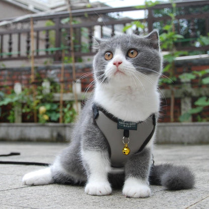Pet Harness Vest With Bell - BestShop