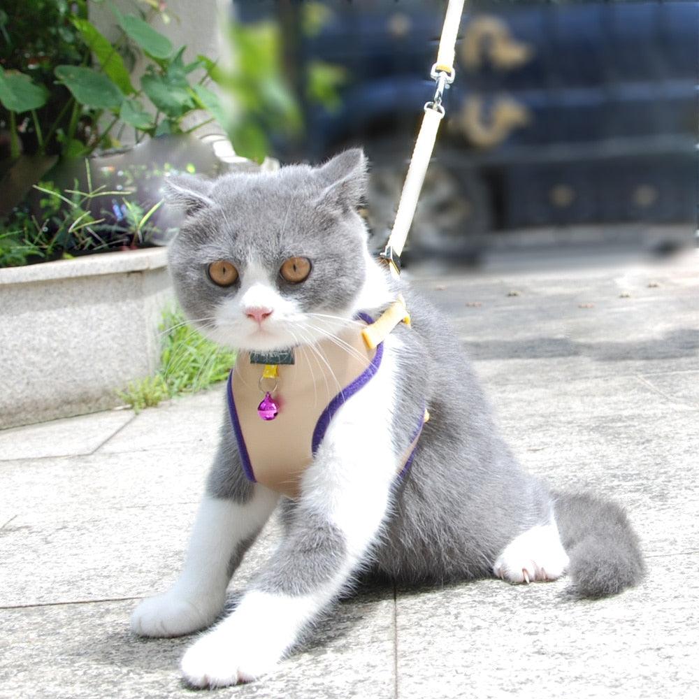 Pet Harness Vest With Bell - BestShop