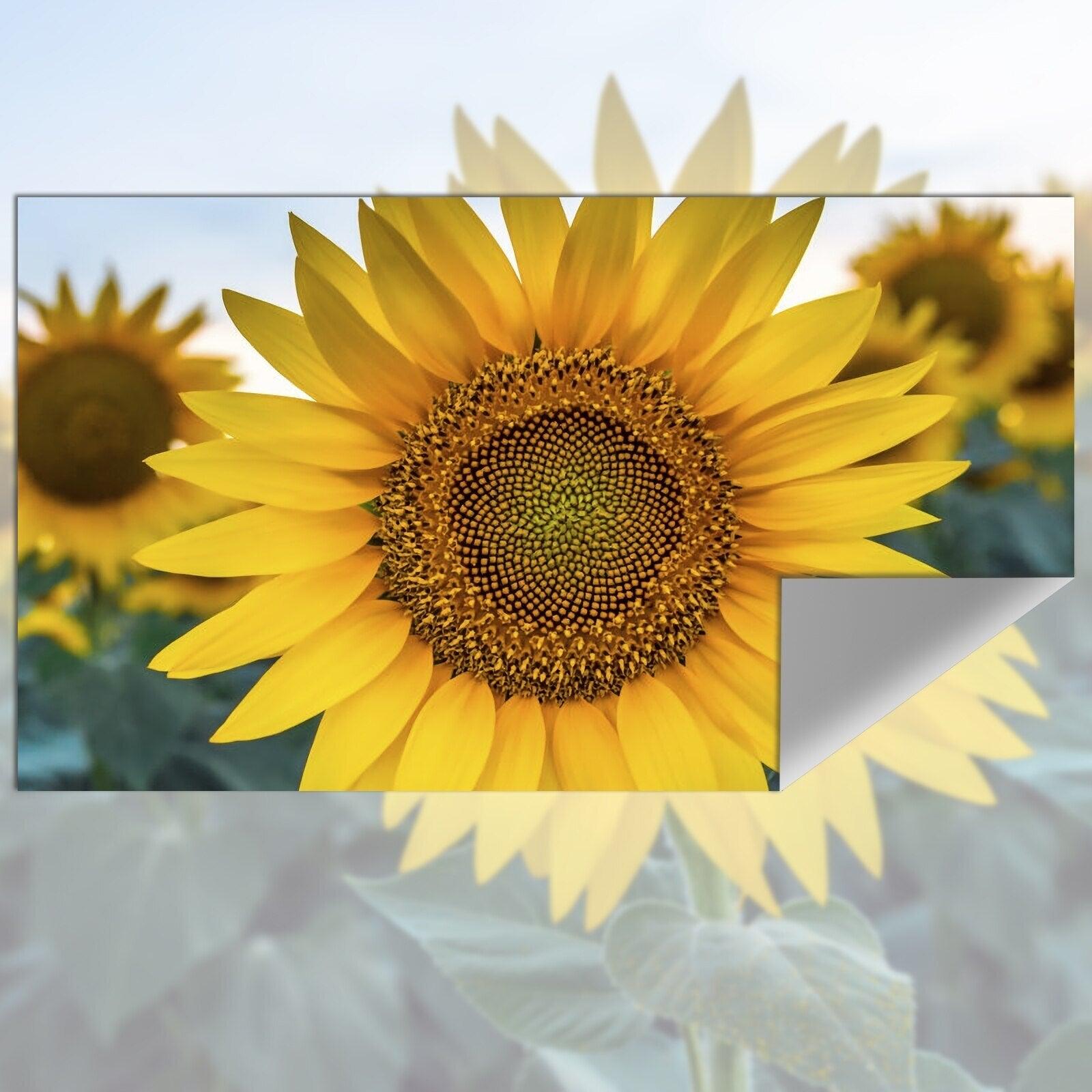 Projection Screen Reflective Fabric Cloth - BestShop