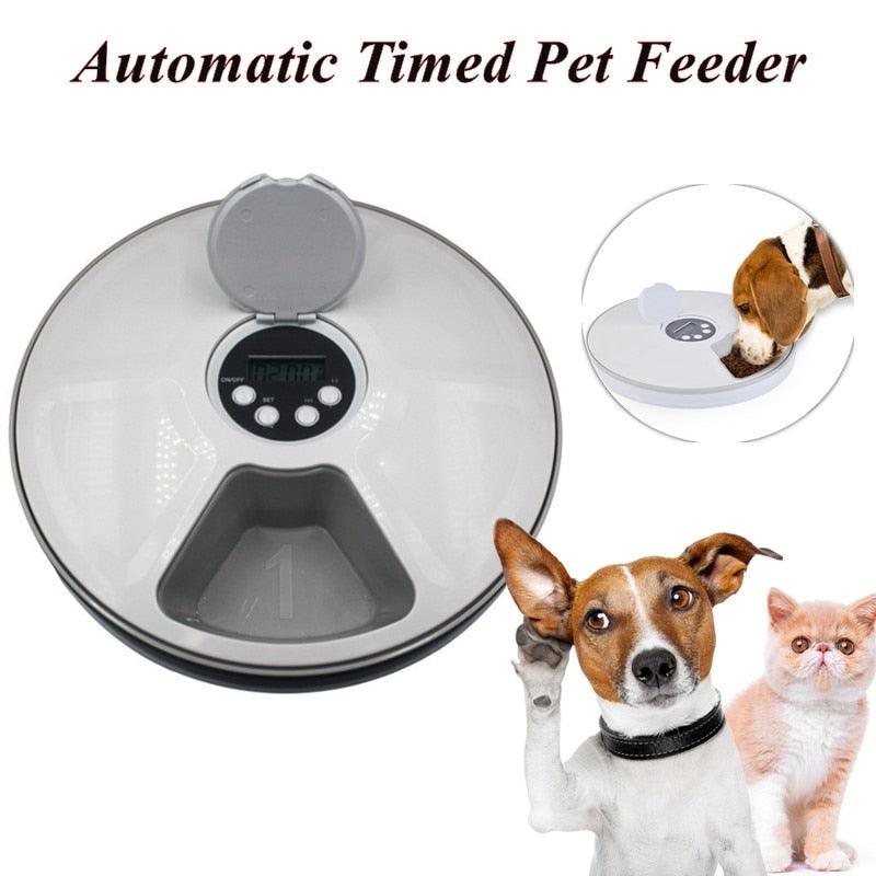Round Timing Feeder Automatic Pet Feeder - BestShop