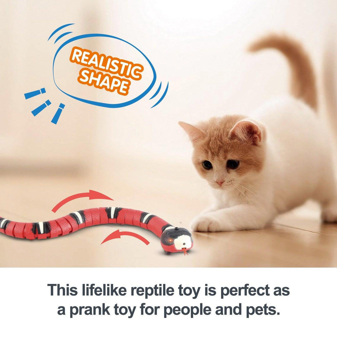 USB Charging Smart Sensing Snake Interactive Cat Toy - BestShop