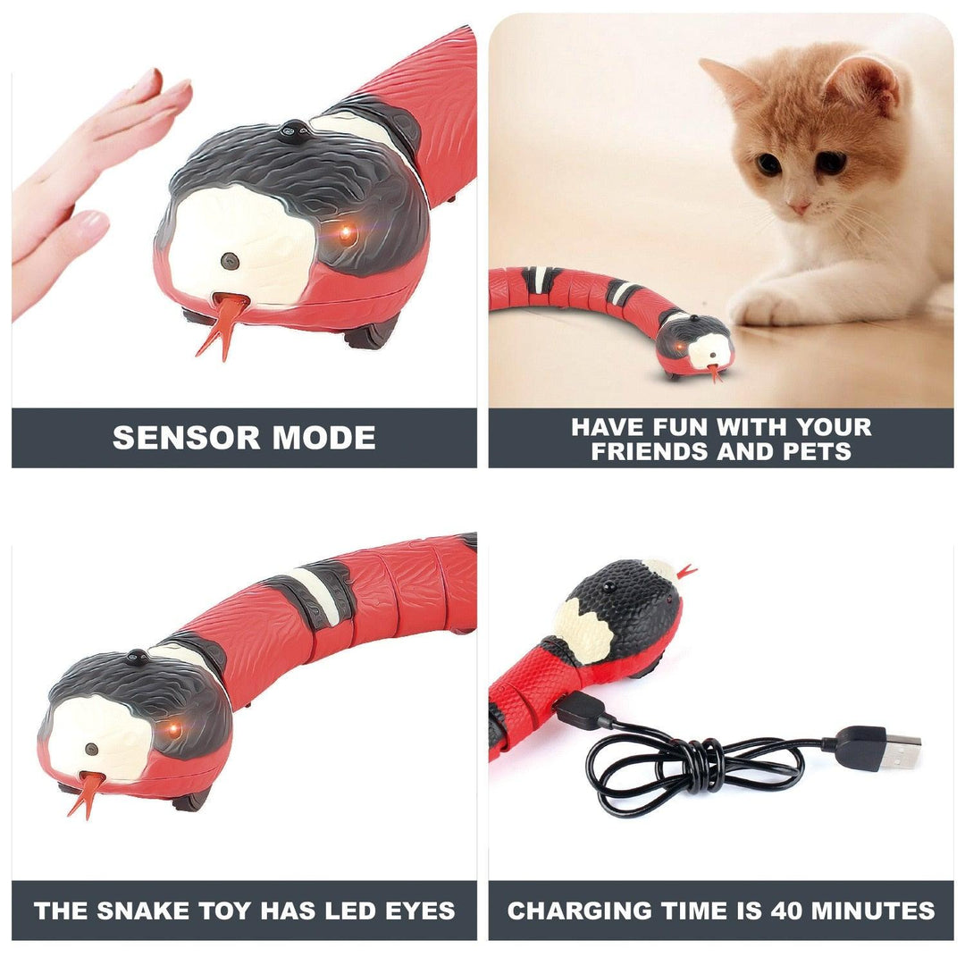 USB Charging Smart Sensing Snake Interactive Cat Toy - BestShop