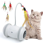 Load image into Gallery viewer, USB Rechargeable Smart Robotic Cat Toy Feather Teaser - BestShop

