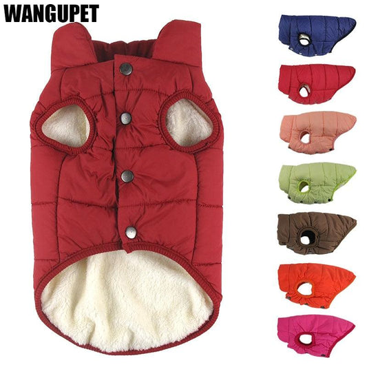 Winter Cotton Padded Pet Coat - BestShop