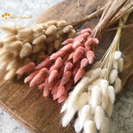 Load image into Gallery viewer, 50Pcs Dried Flower Rabbit Tail Bouquet Home Decor - BestShop
